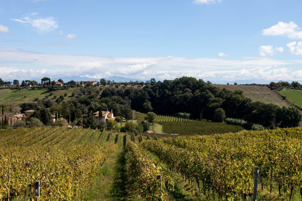 Borgo Del Gelso Bed & Breakfast Olgiata Exterior photo
